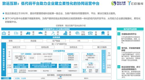 低代碼需求側(cè)去偽存真 致遠(yuǎn)互聯(lián)定制化開發(fā)在軟件開發(fā)及運(yùn)行平臺服務(wù)中的作用